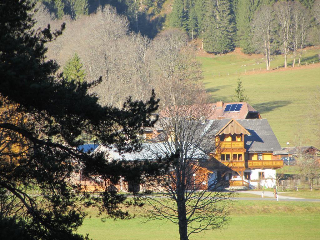 Obergrabnerhof Lejlighed Ramsau am Dachstein Eksteriør billede